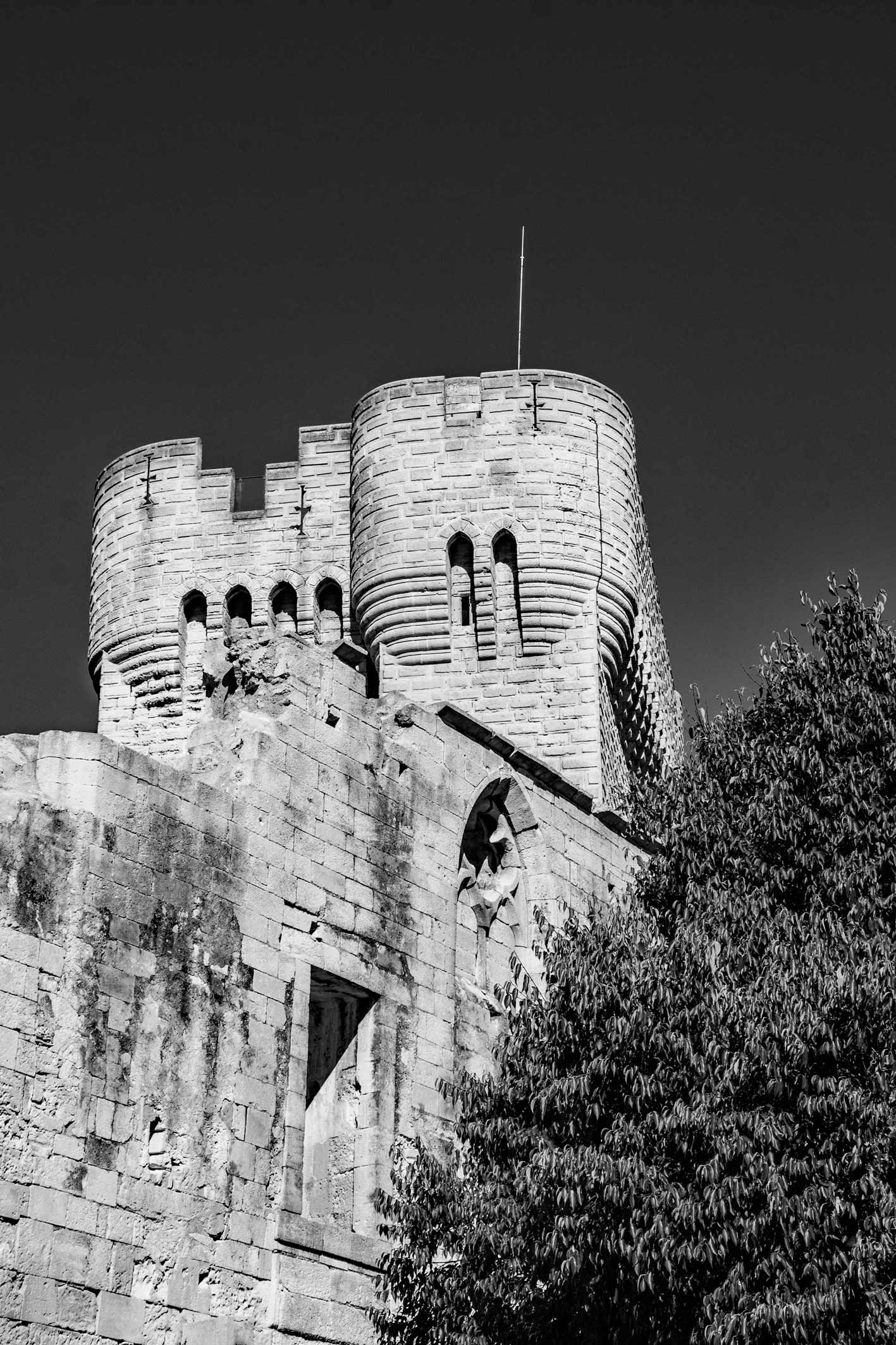 Abbaye de Montmajour (13)