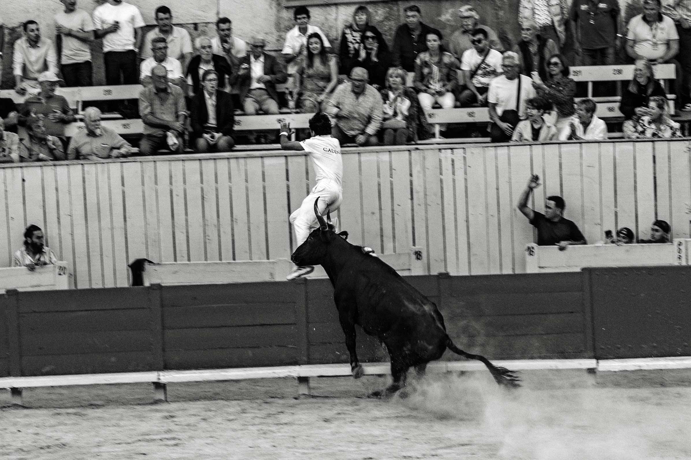 course camargaise