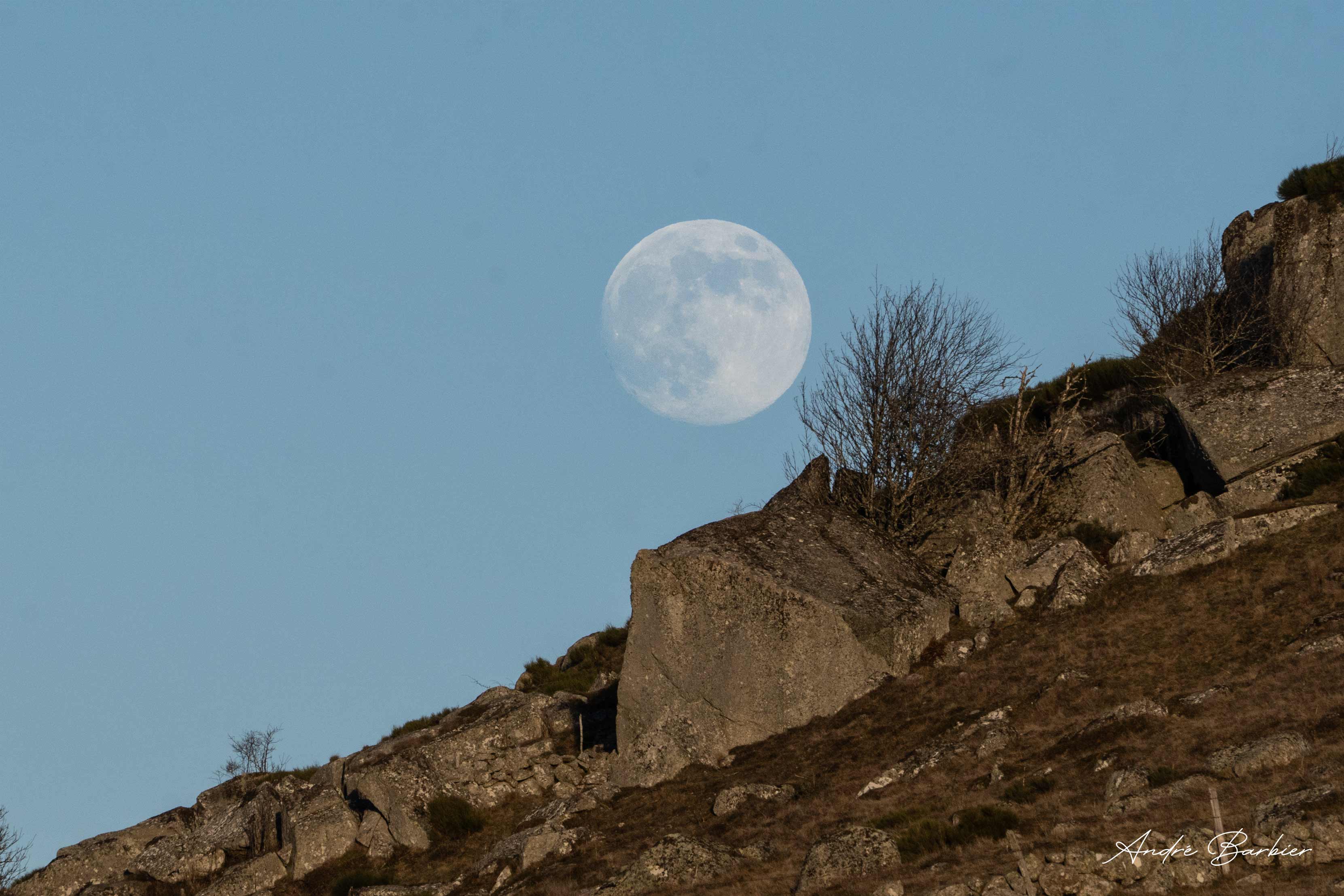Lune du loup