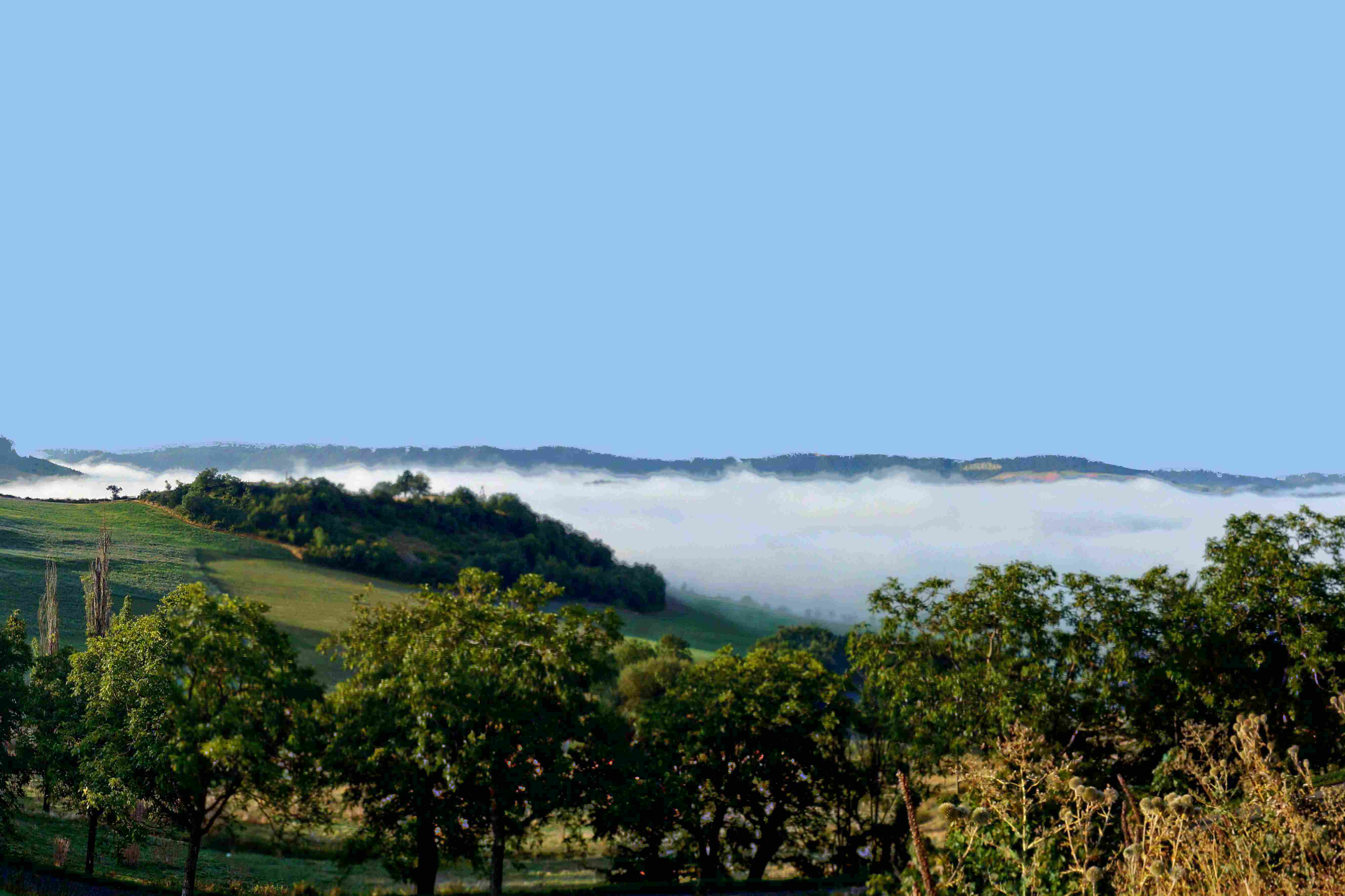 Brume dans la vallée