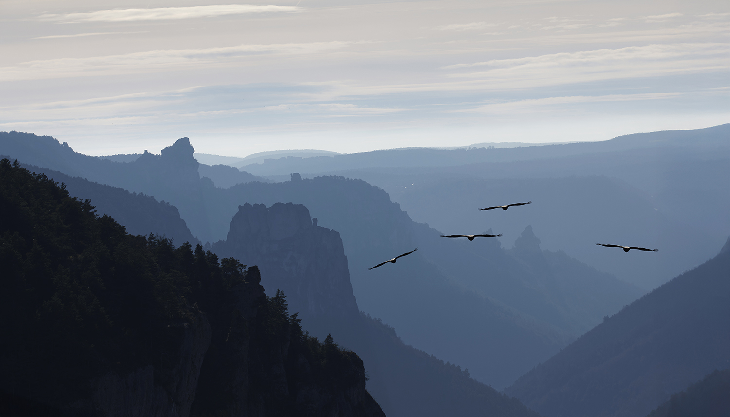 Un soir dans les gorges quand rentrent les vautours...