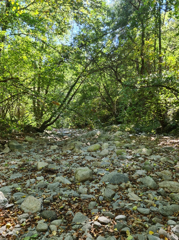Le Coulagnet à sec
