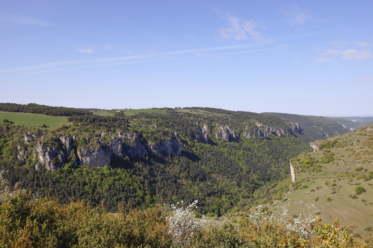 Falaises sur le Causse Méjean