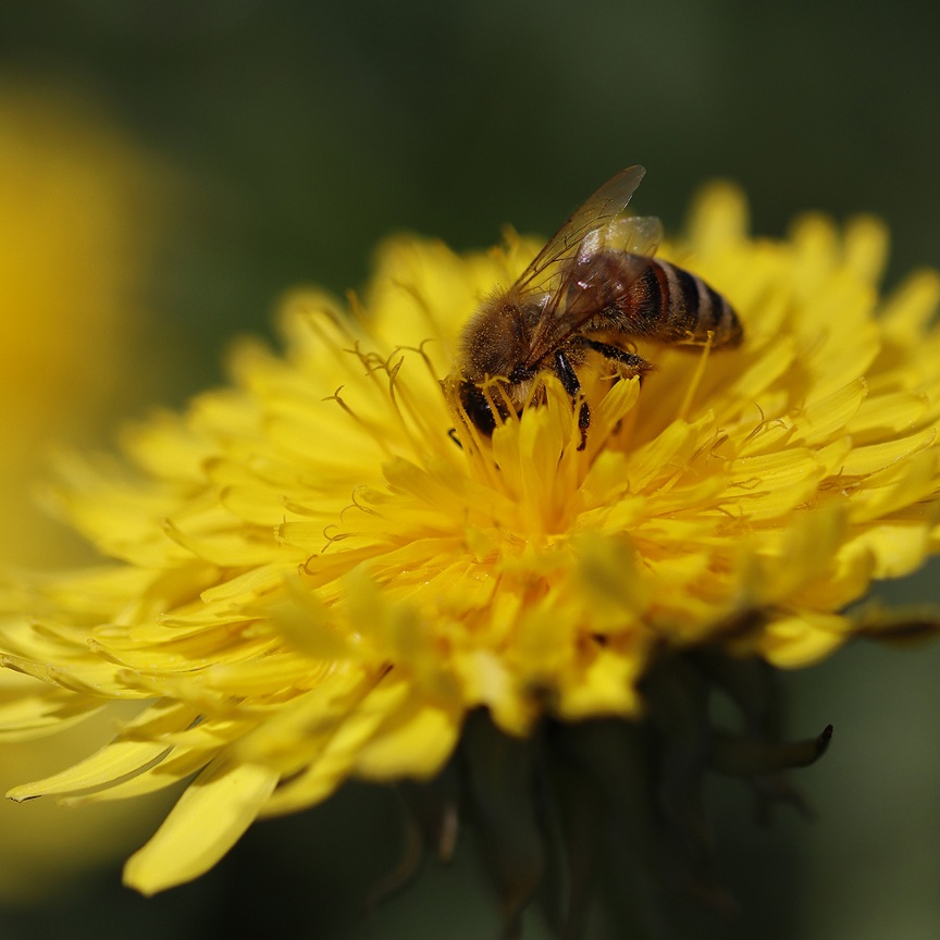 L'heure du casse-croûte