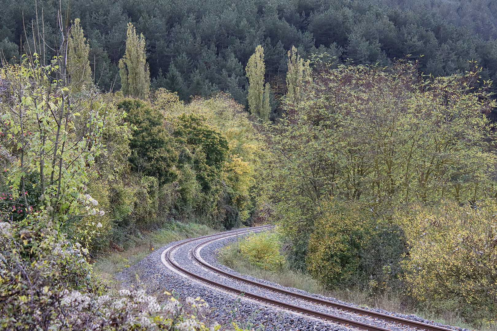 Arrivée de l'automne en train