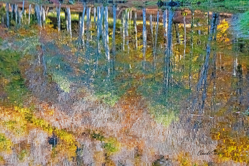 Reflets d'automne