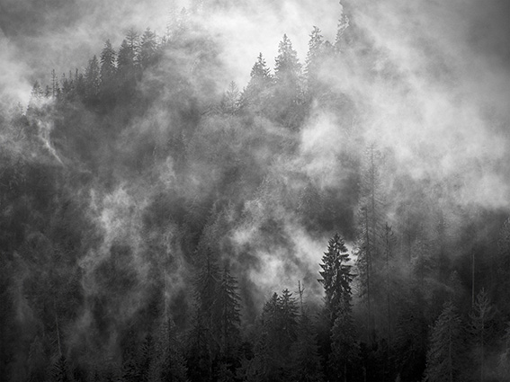 Brume matinale