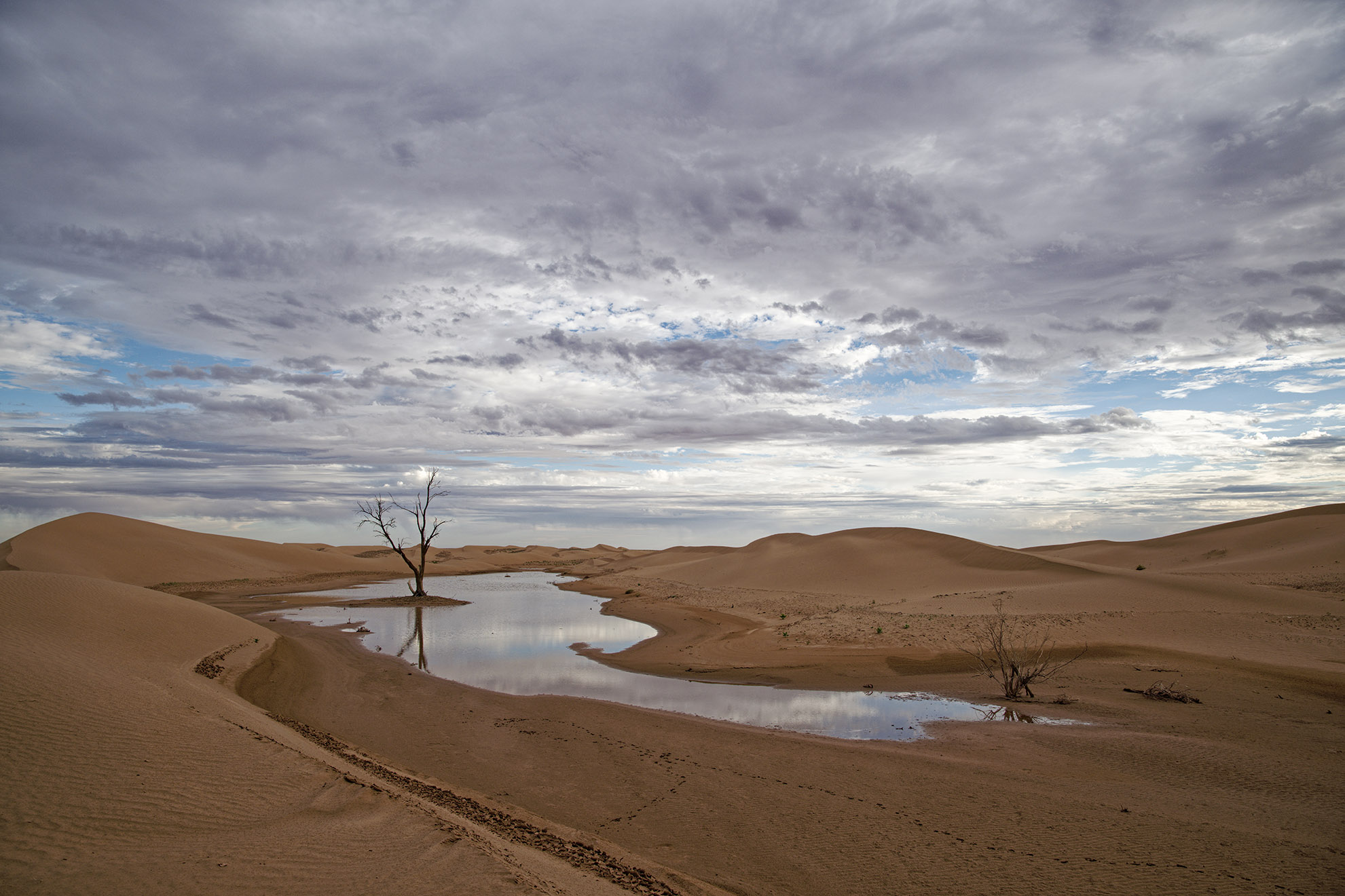 Début du désert de Chegaga