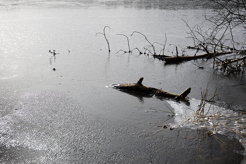 Avec un peu d'imagination...