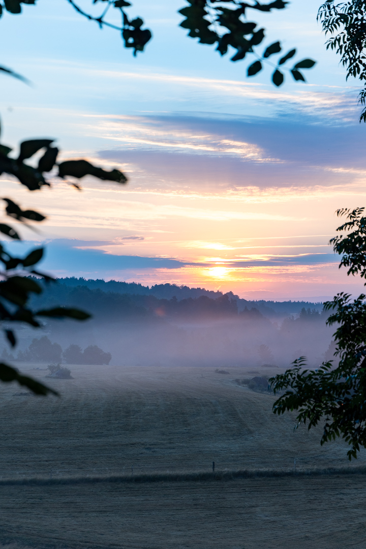 Petit matin