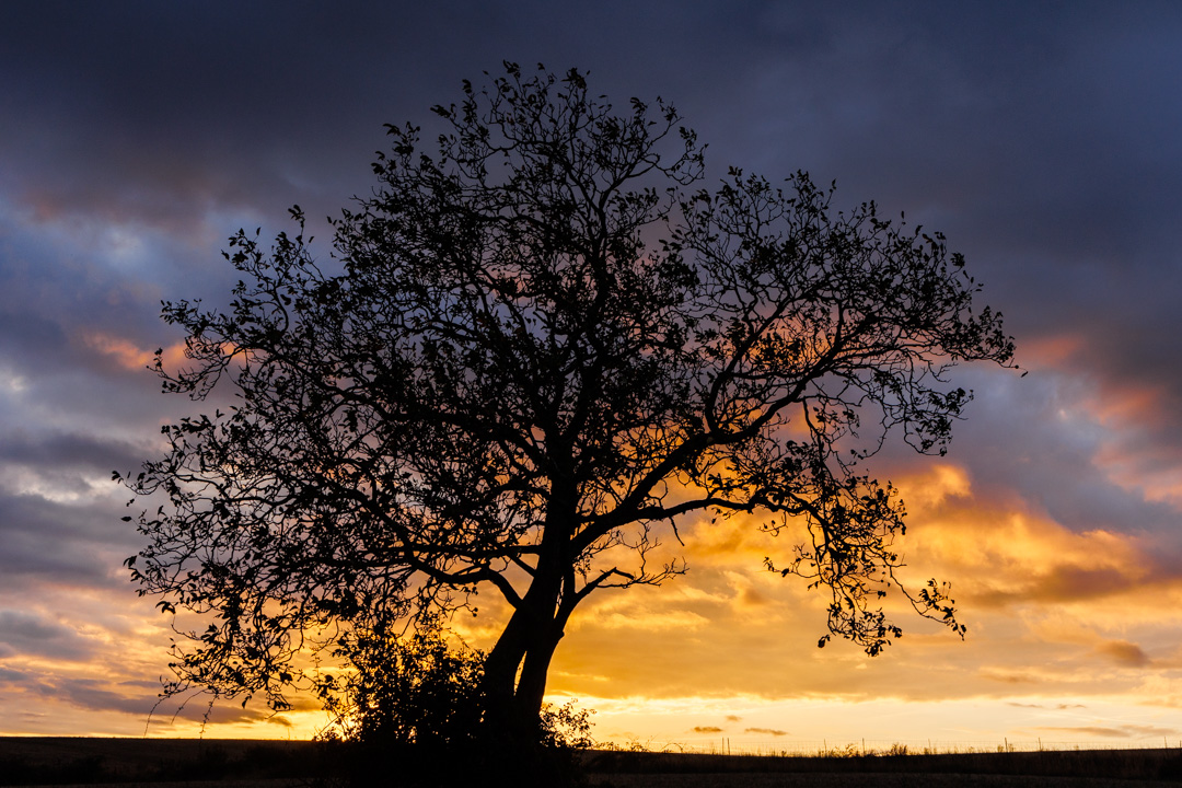 Magie d'un soir