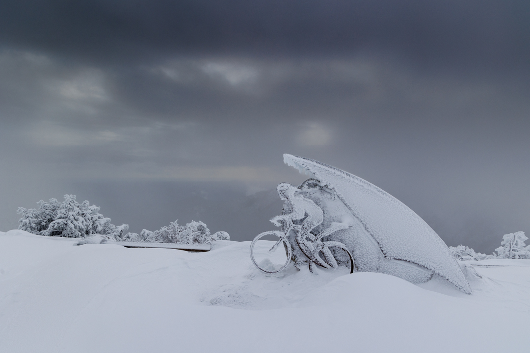 Complètement  givré