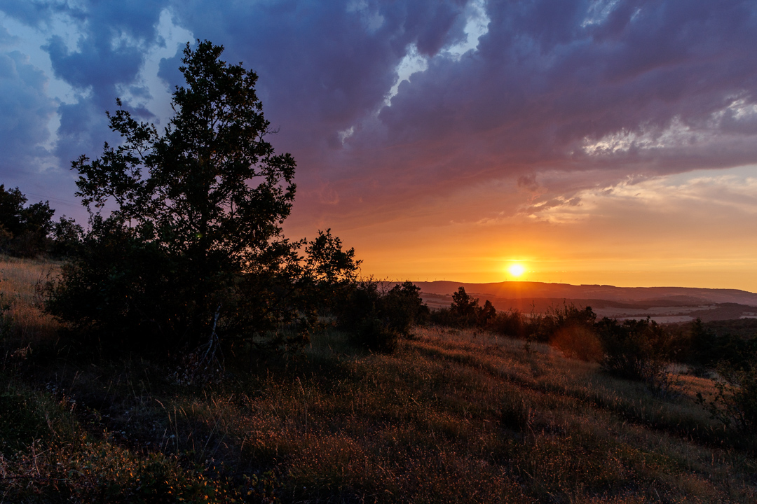 un soir d'été