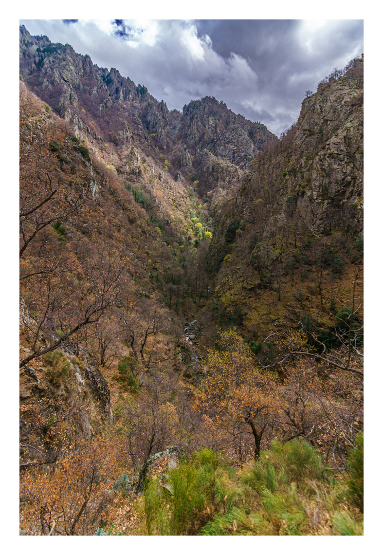 Canyon Catalan