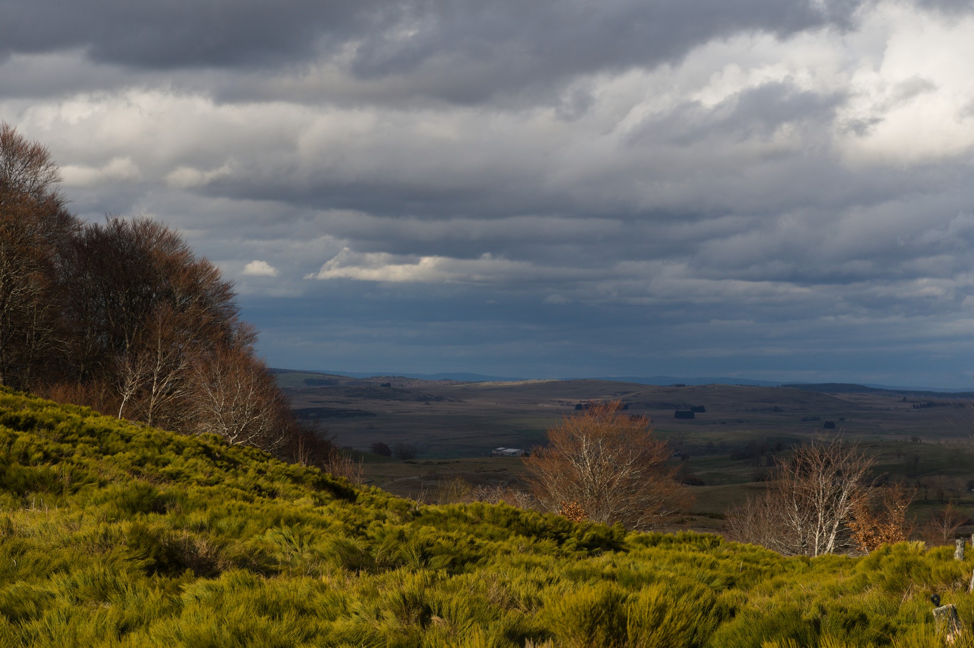 Lumières d'Aubrac