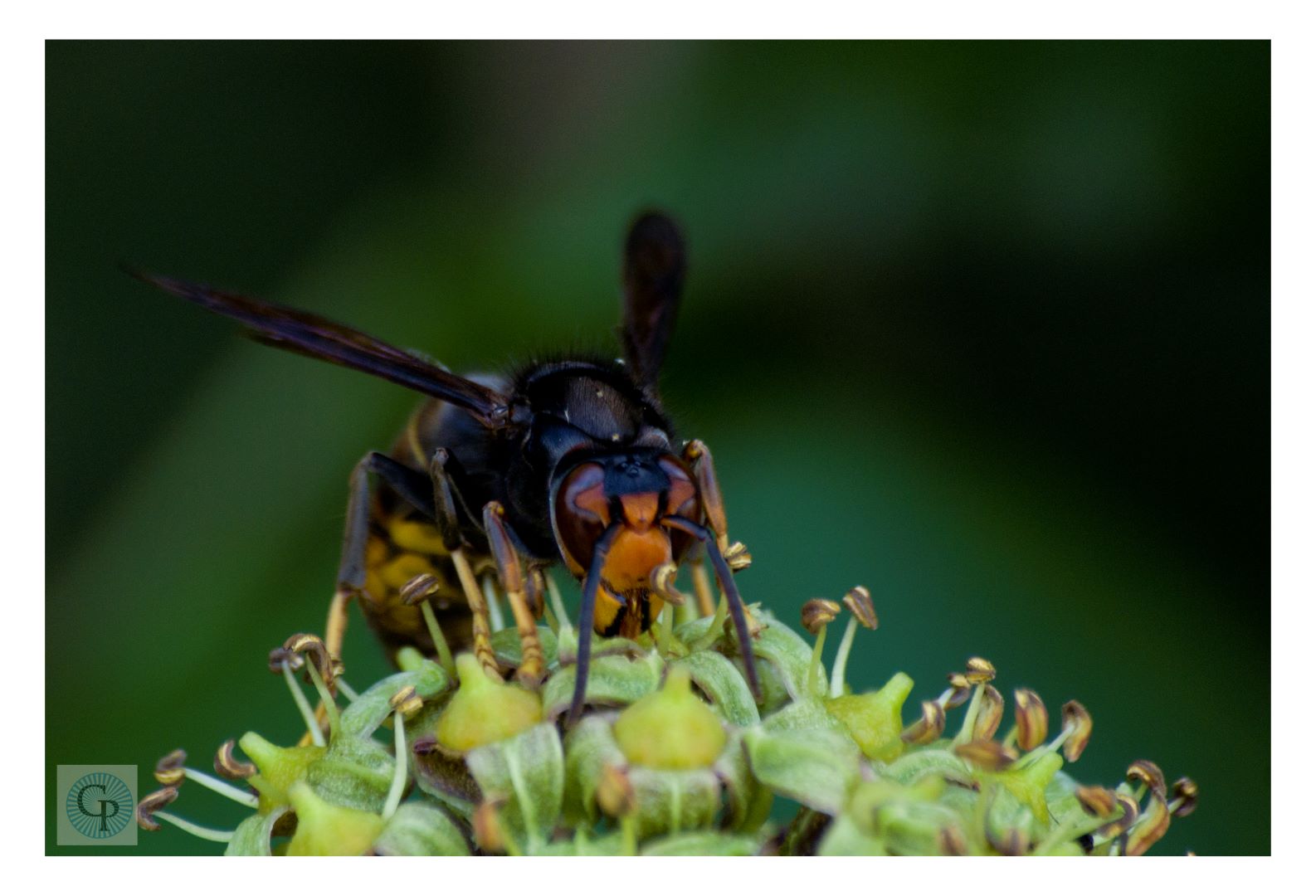 Qui s'y frotte, s'y pique