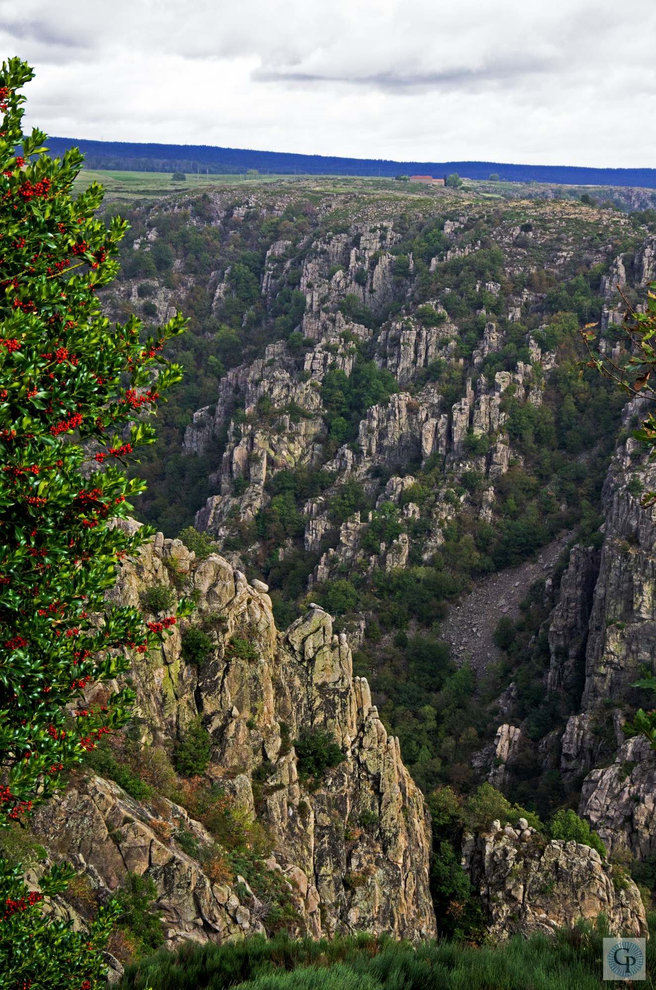 Les gorges du Chasssezac