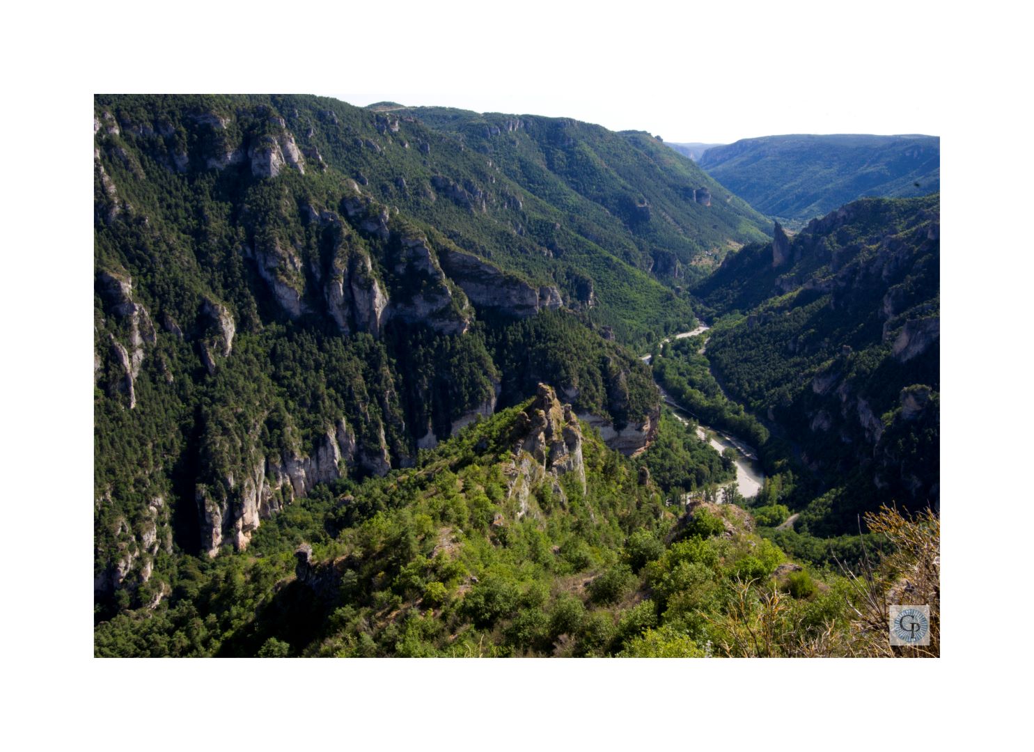 Gorges du Tarn vues du Point sublime